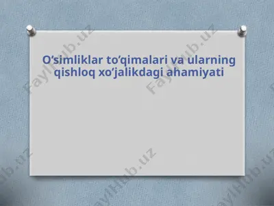 o’simliklar to’qimalari va ularning qishloq xo’jalikdagi ahamiyati — PPTX