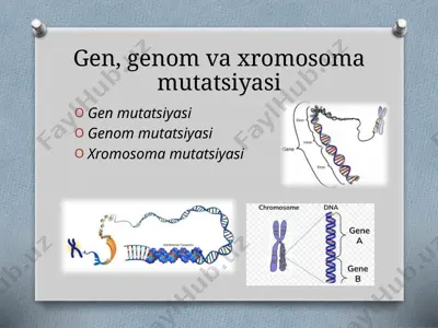 gen, genom va xromosoma mutatsiyasi — PPTX