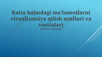 katta hajmdagi ma’lumotlarni vizualizatsiya qilish usullari va vositalari — PPTX
