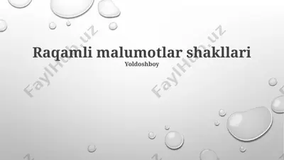 raqamli ma'lumotlar shakllari — PPTX