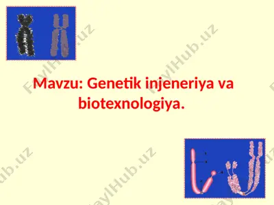 genetik injeneriya va biotexnologiya — PPTX