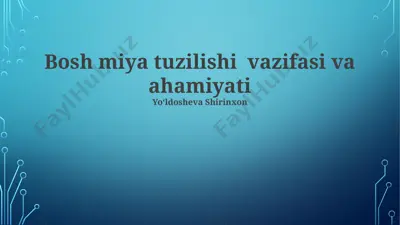 miyacha vazifalari va ahamiyati — PPTX