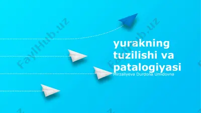 yurakning tuzilishi va patalogiyasi — PPTX
