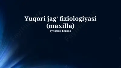 yuqori jag’ fiziologiyasi (maxilla) — PPTX