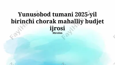 yunusobod tumani 2025-yil birinchi chorak mahalliy budjet ijrosi — PPTX