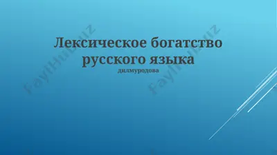 лексическое богатство русского языка — PPTX