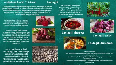 lavlagi (beta vulgaris) — PDF