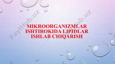 mikroorganizmlar ishtirokida lipidlar ishlab chiqarish — PPTX