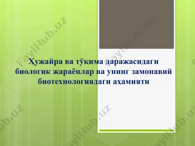 ҳужайра ва тўқима даражасидаги биологик жараёнлар ва унинг замонавий биотехнологиядаги аҳамияти — PPT