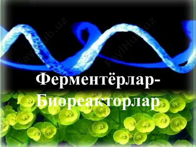 ферментёрлар-биореакторлар — PPTX