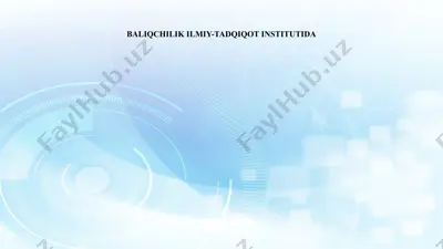 baliqchilik ilmiy-tadqiqot instituti amaliyoti hisobot — PPTX