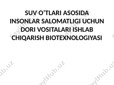 suv o’tları asosıda ınsonlar salomatlıgı uchun dorı vosıtaları ıshlab chıqarısh bıotexnologıyası — PPTX