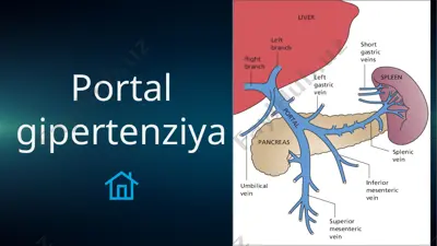 portal vena haqida ma'lumotlar — PPTX