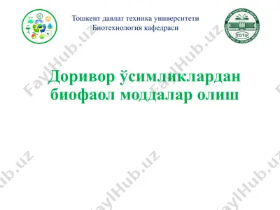 доривор ўсимликлардан биофаол моддалар олиш — PPTX