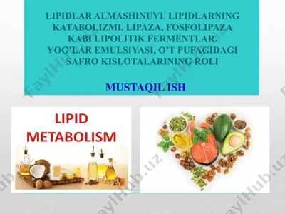 lipidlar almashinuvi. lipidlarning katabolizmi. lipaza, fosfolipaza kabi lipolitik fermentlar. yog’lar emulsiyasi — PPTX