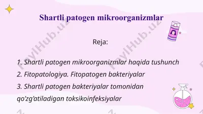 shartli patogen mikroorganizmlar — PPTX