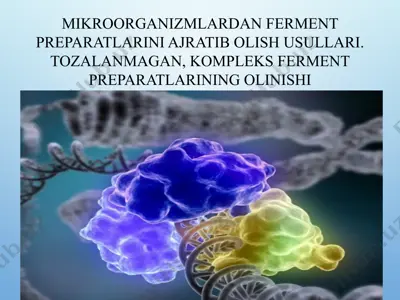 mikroorganizmlardan ferment preparatlarini ajratib olish usullari. tozalanmagan, kompleks ferment preparatlarining olinishi — PPTX