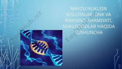 nuklein kislotalar. dnk va rnk ning ahamiyati. nukleotidlar haqida tushuncha — PPTX