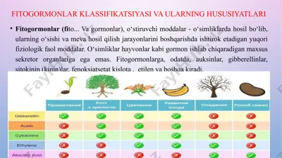 fitogormonlar klassifikatsiyasi va ularning hususiyatlari — PPTX