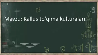 kallus to'qima kulturalari — PPTX