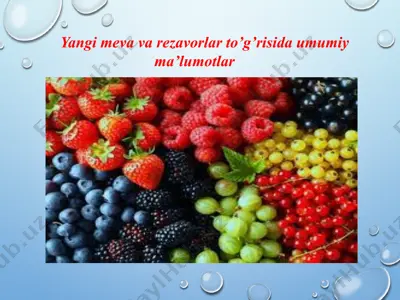 yangi meva va rezavorlar to’g’risida umumiy ma’lumotlar — PPTX