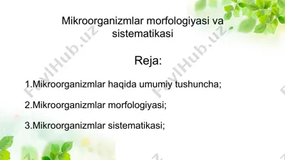 mikroorganizmlar morfologiyasi va sistematikasi — PPTX
