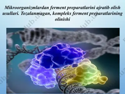mikroorganizmlardan ferment preparatlarini ajratib olish usullari. tozalanmagan, kompleks ferment preparatlarining olinishi — PPTX