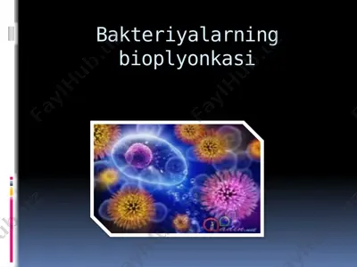 bakteriyalarning bioplyonkasi — PPTX