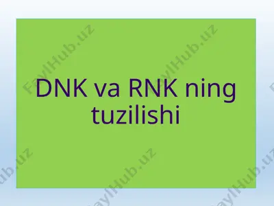 dnk va rnk ning tuzilishi — PPTX