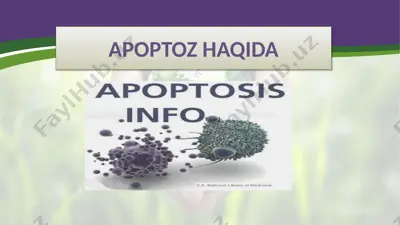 apoptoz haqida — PPTX