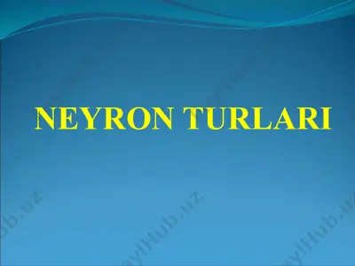 neyron turlari — PPTX