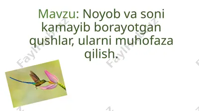 noyob va soni kamayib borayotgan qushlar, ularni muhofaza qilish — PPTX
