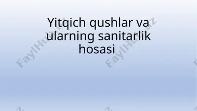 yirtqich qushlar va ularning sanitarlik xususiyatlari — PPTX