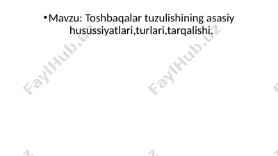 toshbaqalar tuzulishining asasiy husussiyatlari, turlari, tarqalishi — PPTX