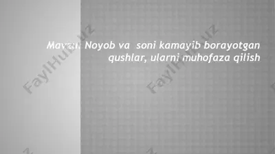 noyob va soni kamayib borayotgan qushlar, ularni muhofaza qilish — PPTX