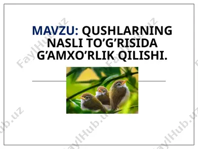 qushlarning nasli to’g’risida g’amxo’rlik qilishi — PPTX