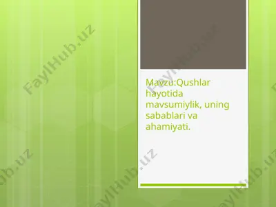 qushlar hayotida mavsumiylik, uning sabablari va ahamiyati — PPTX