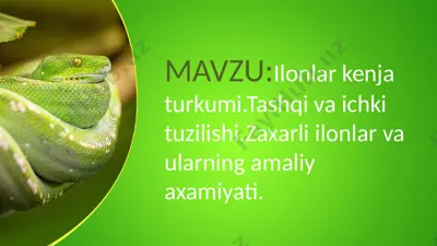 ilonlar kenja turkumi va ularning amaliy ahamiyati — PPTX