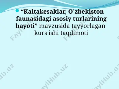 kaltakesaklar, o’zbekiston faunasidagi asosiy turlarining hayoti — PPTX