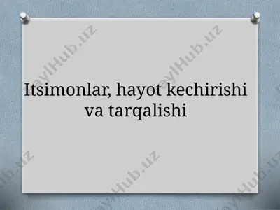 itsimonlar, hayot kechirishi va tarqalishi — PPTX