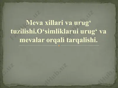 meva xillari va urug‘ tuzilishi — PPT