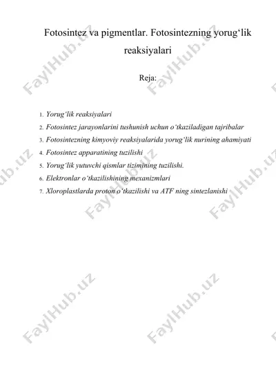 fotosintez va pigmentlar. fotosintezning yorug‘lik reaksiyalari — DOCX