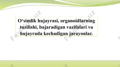 o'simlik hujayrasi haqida taqdimot — PPTX