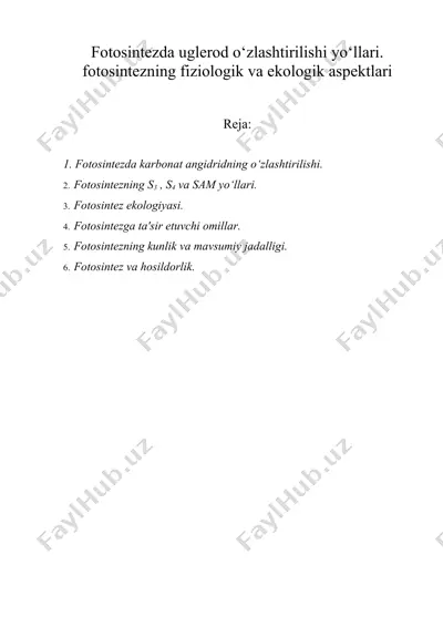 fotosintezda uglerod o‘zlashtirilishi yo‘llari. fotosintezning fiziologik va ekologik aspektlari — DOCX