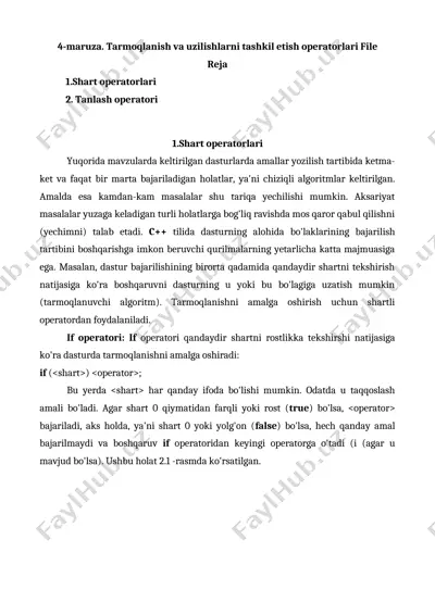 tarmoqlanish va shart operatorlari bo‘yicha ma’ruza — DOCX