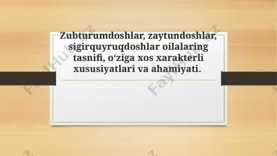 zaytundoshlar oilasi va ligistrum turkumi haqida taqdimot — PPTX