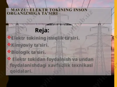 elektr tokining inson organizmiga ta’siri — PPTX