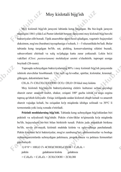 moy kislotali bijg'ish — DOCX