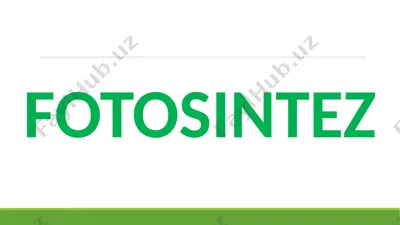 fotosintez — PPTX
