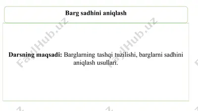 barg sadhini aniqlash — PPTX